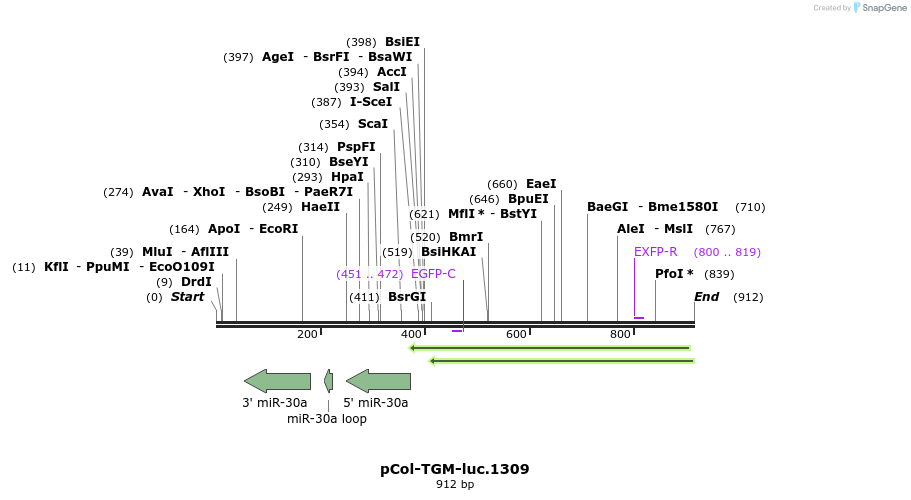 44218_map