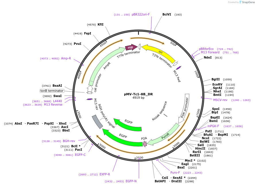 442198_map