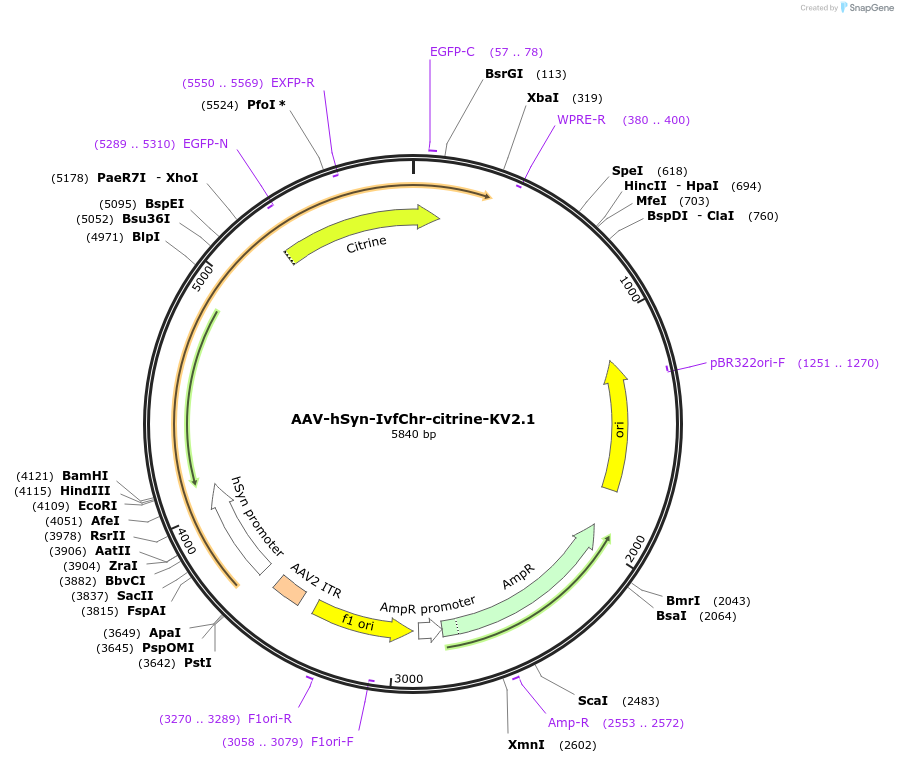 442201_map