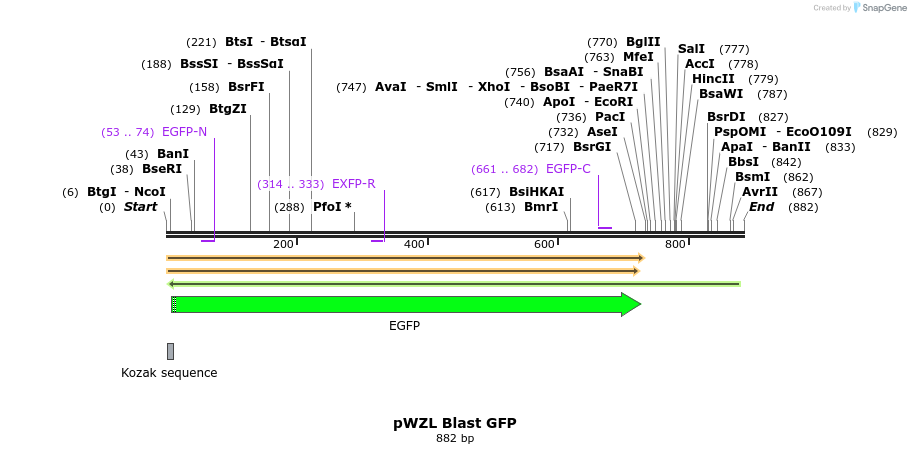 44221_map