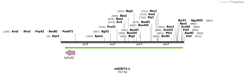 44222_map