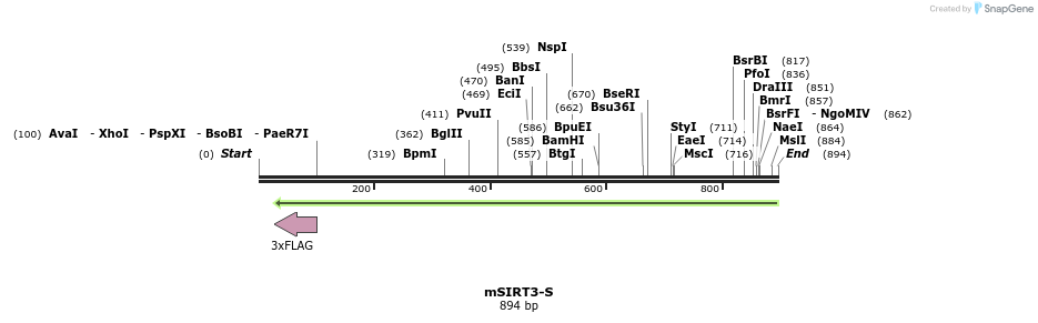 44224_map