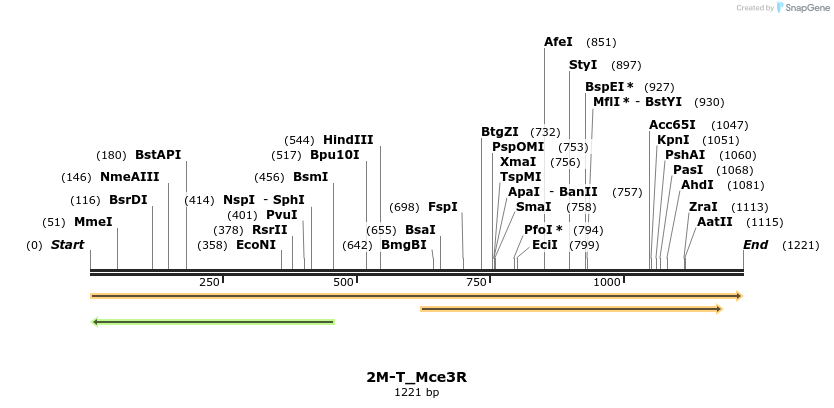 442246_map