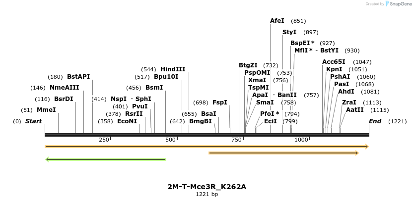 442248_map