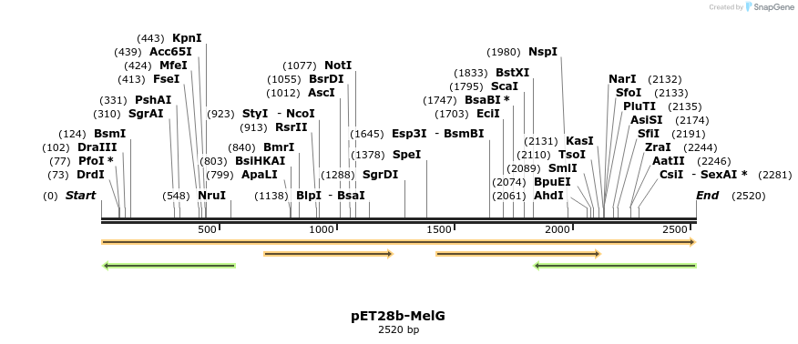 442249_map