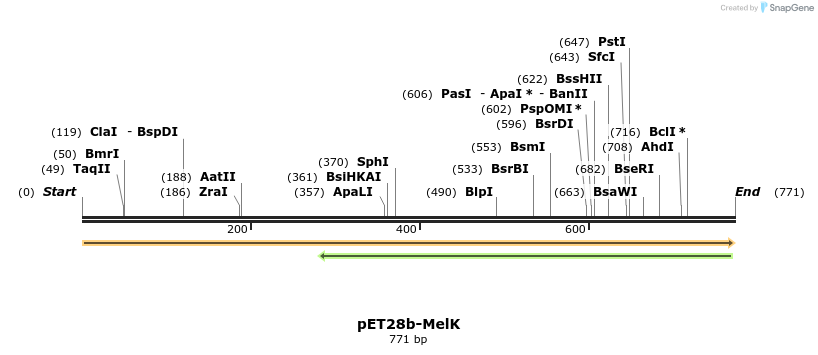 442252_map