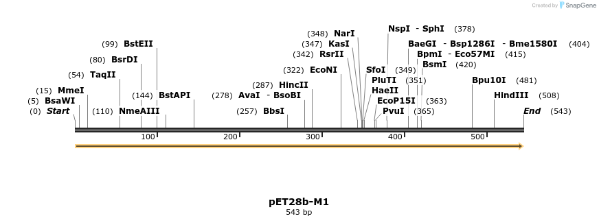 442255_map