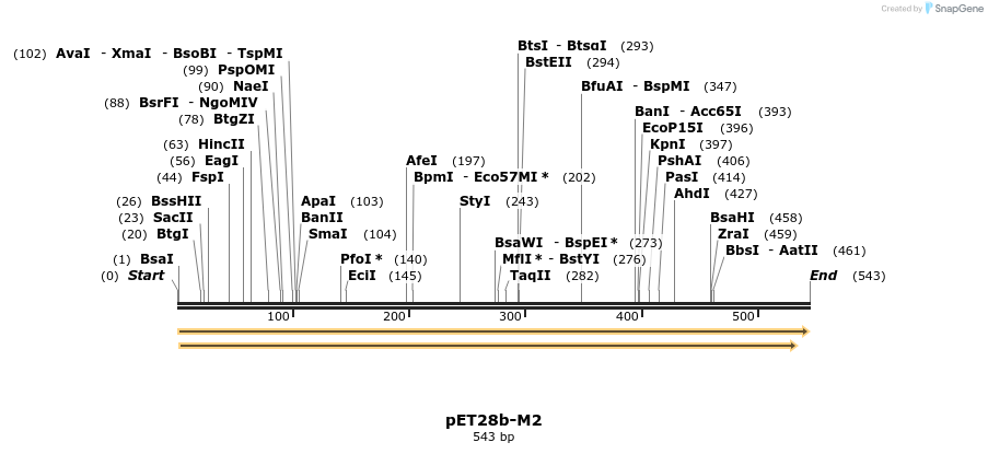 442256_map