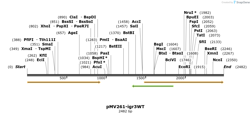 442260_map