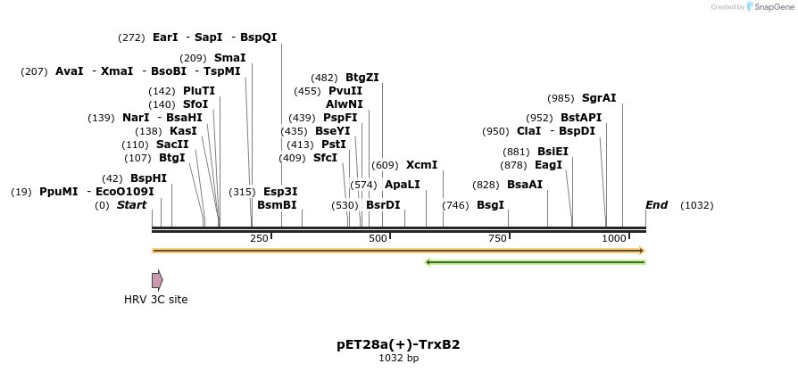 442266_map