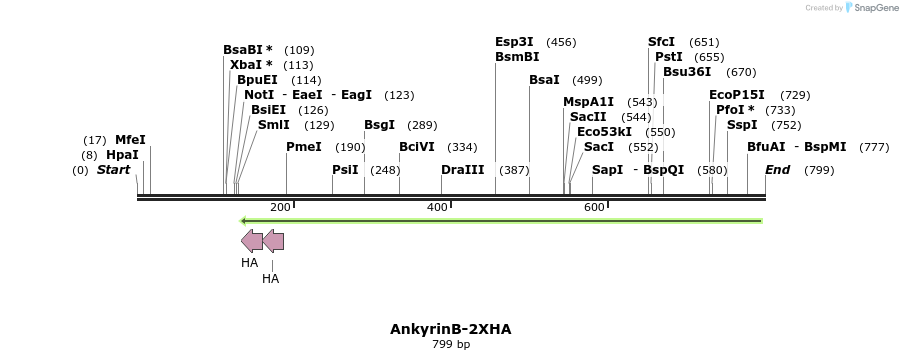 44229_map