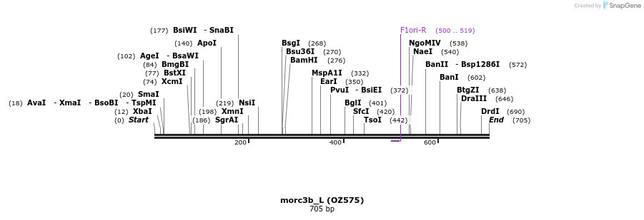 44233_map