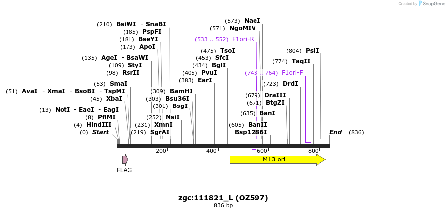44243_map