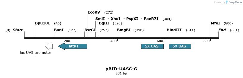 44254_map