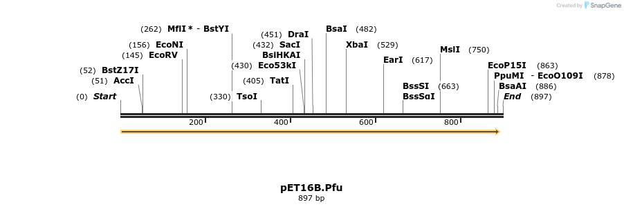 44257_map