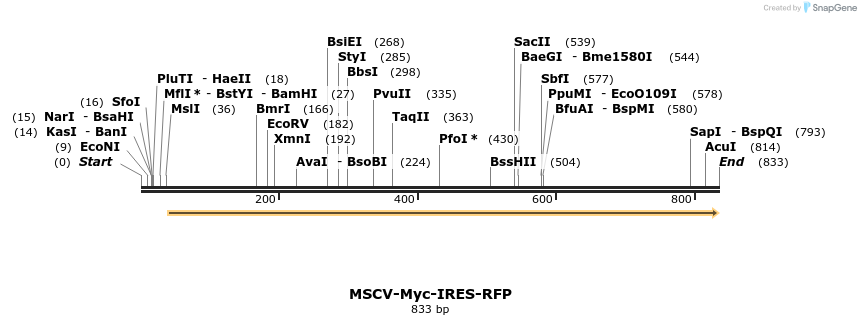 44269_map