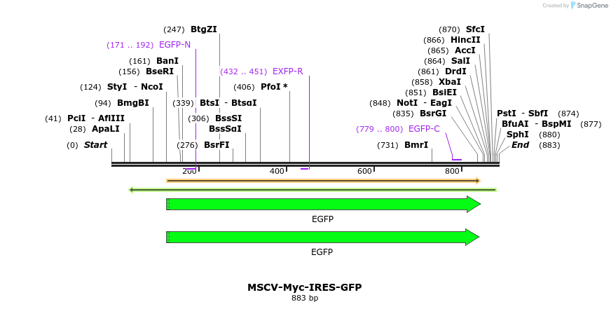 44271_map