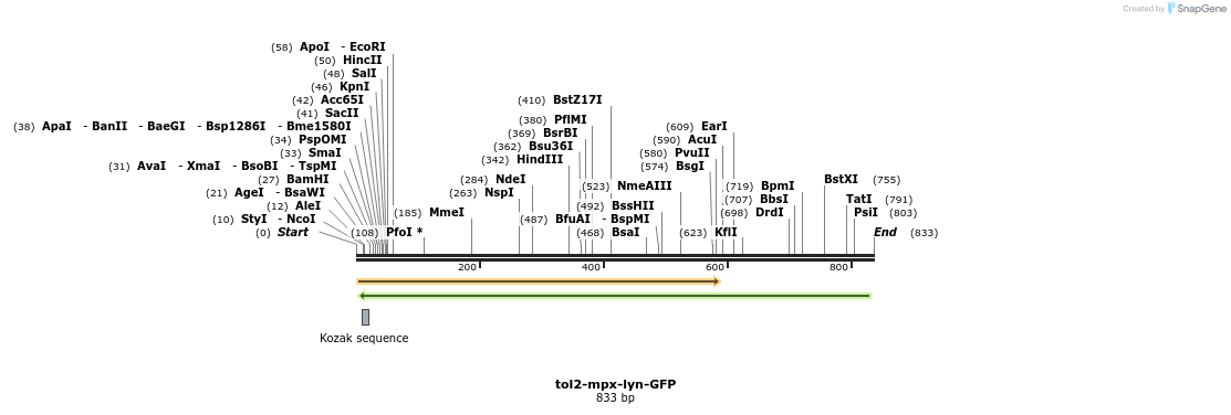 44272_map