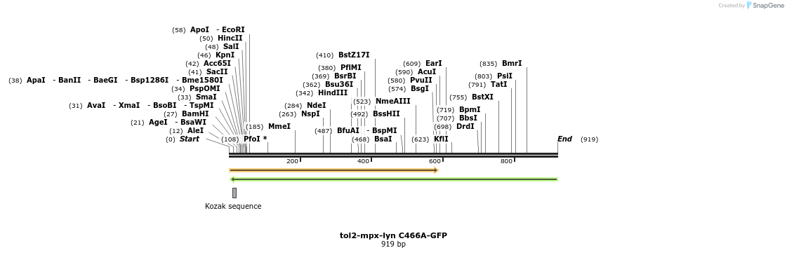 44273_map