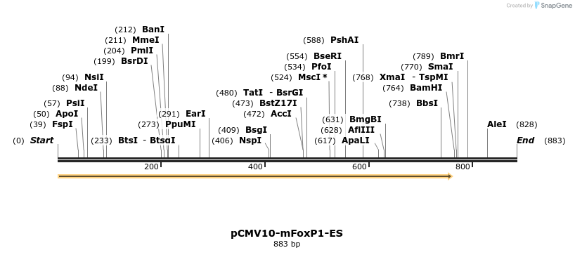 44274_map