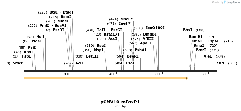 44275_map