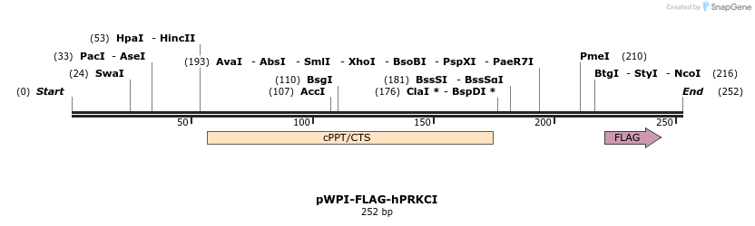 44276_map