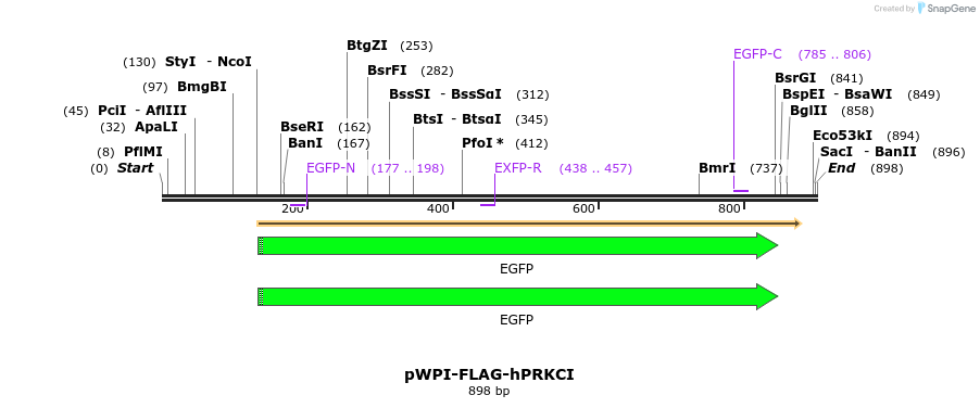 44277_map