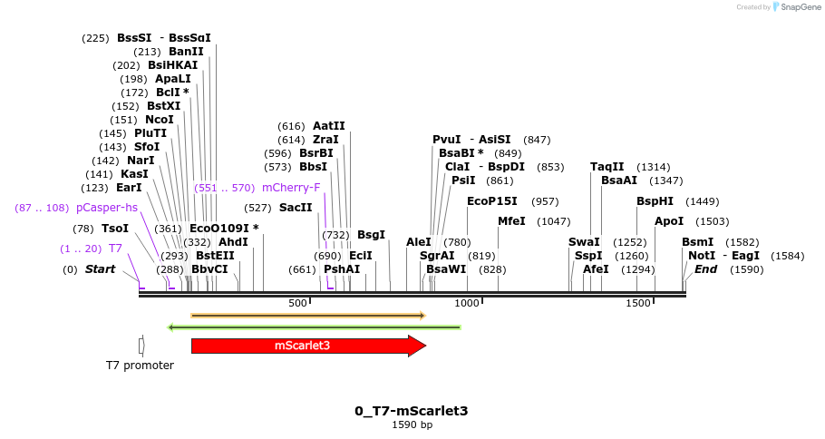 442772_map