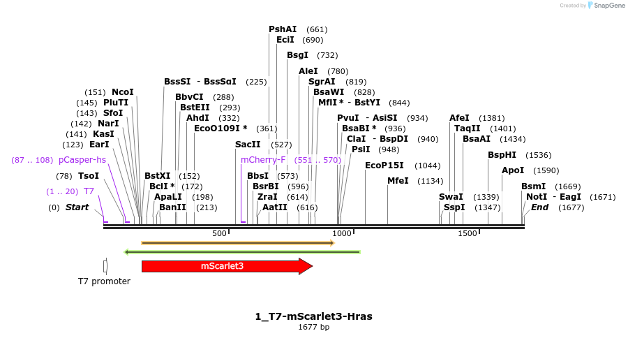 442777_map