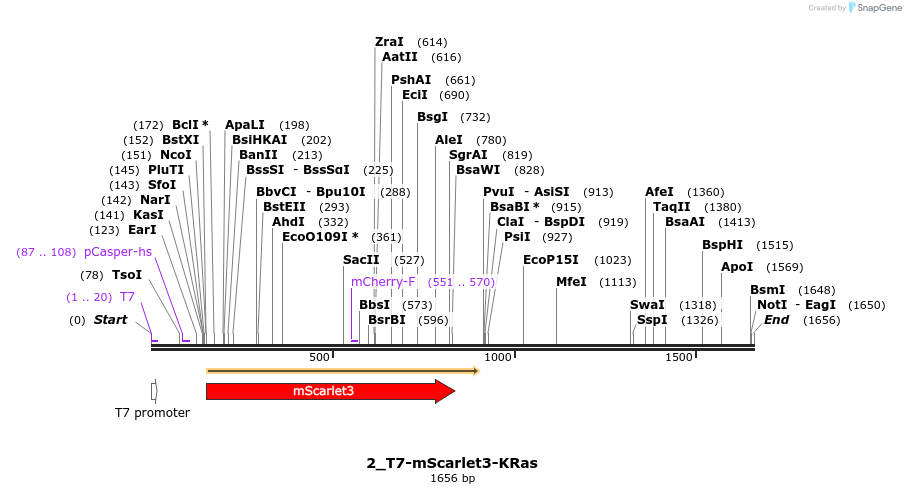 442778_map