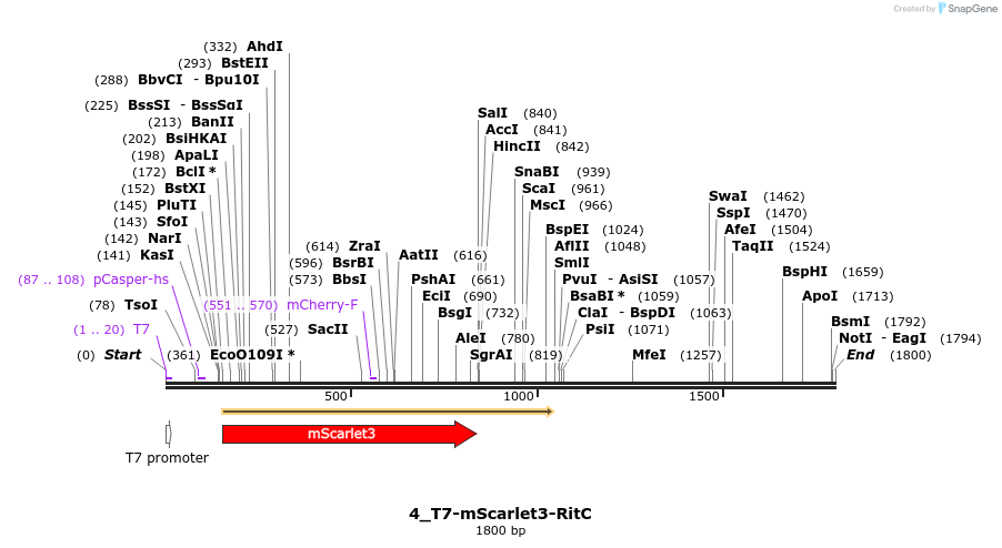 442782_map