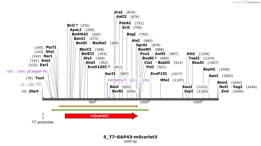 442783_map