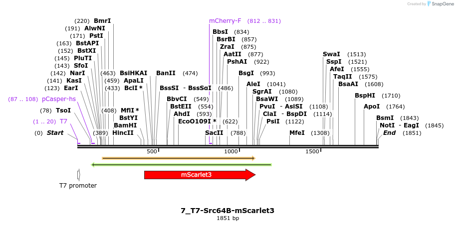 442786_map