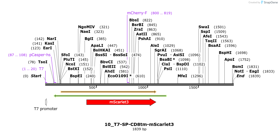 442789_map