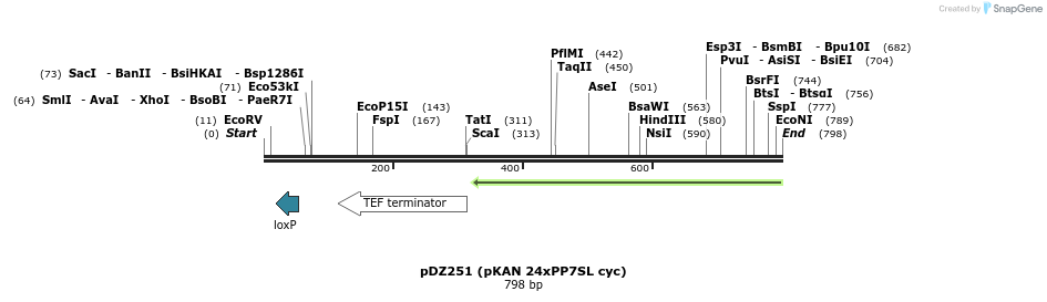 44279_map