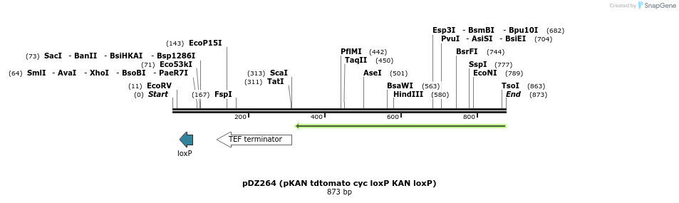 44280_map