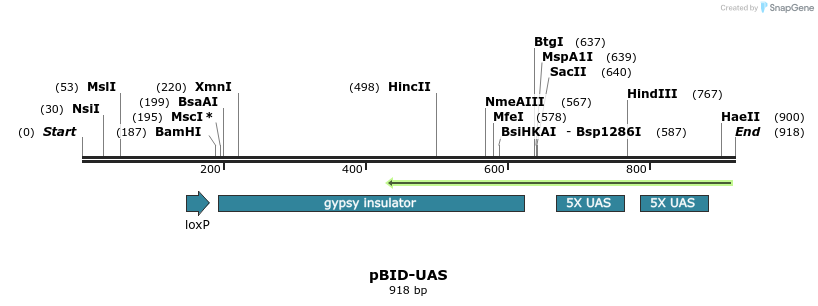 44281_map