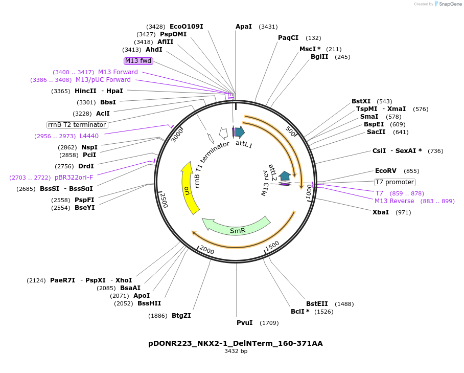 442836_map