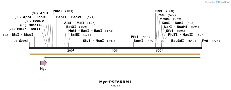44286_map