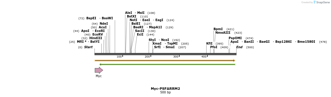 44288_map