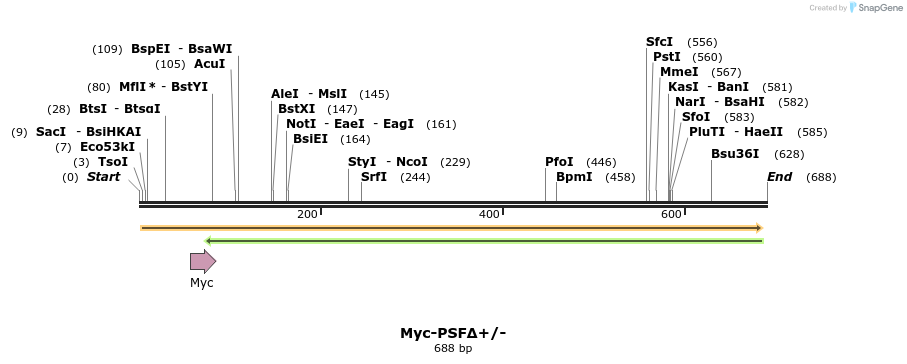 44289_map