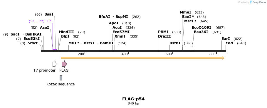 44290_map