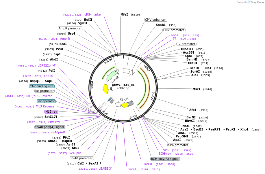 442900_map