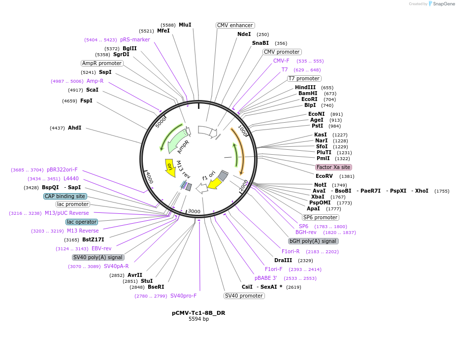 442904_map