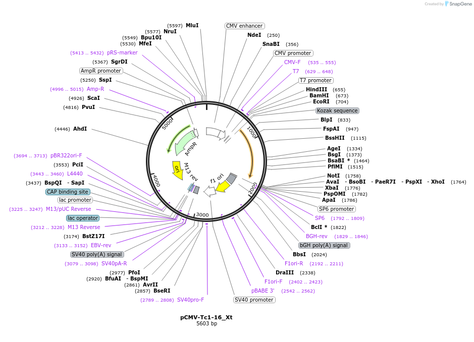 442906_map
