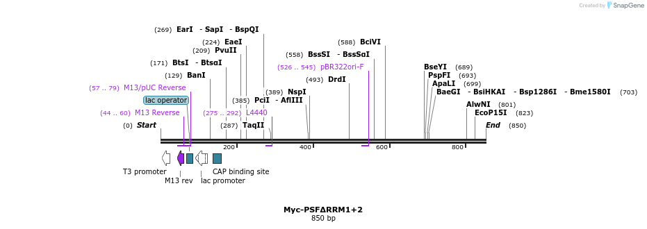 44291_map