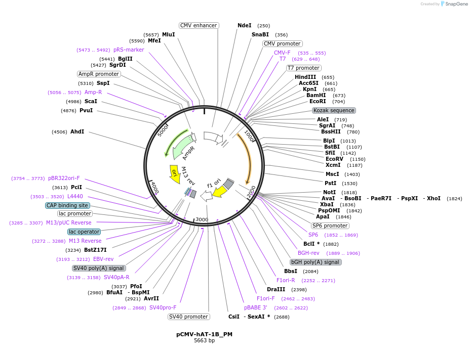 442910_map