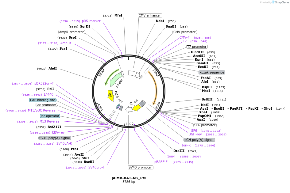 442914_map
