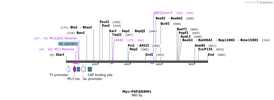 44292_map