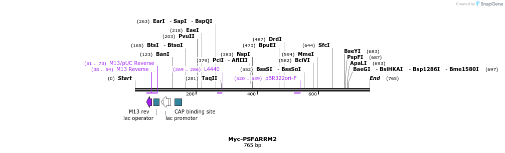 44294_map